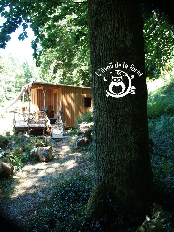 Gite Nature Au Pied Des Hetres Vitrac-sur-Montane Exterior foto