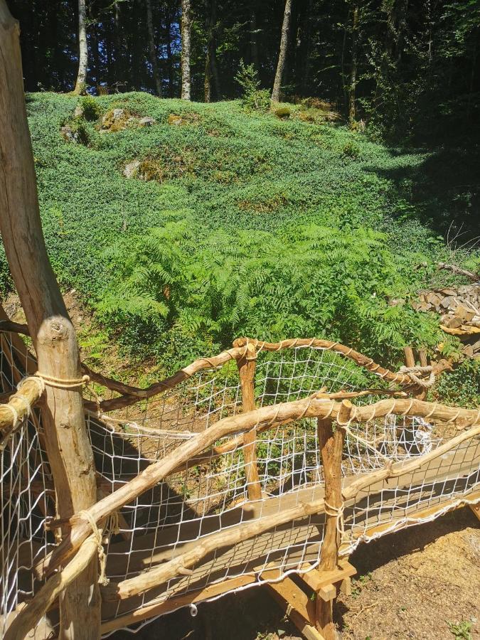Gite Nature Au Pied Des Hetres Vitrac-sur-Montane Exterior foto